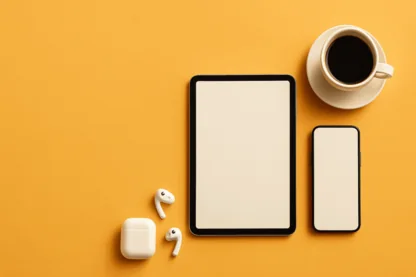 Previous Article Image