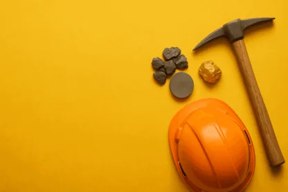 Previous Article Image