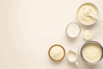 Previous Article Image