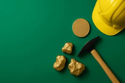 Previous Article Image