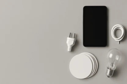 Previous Article Image