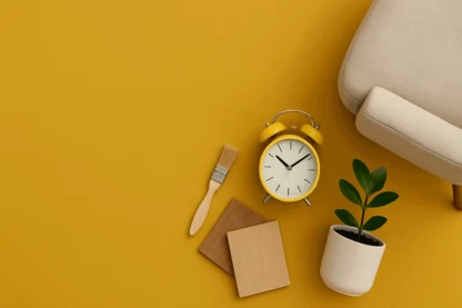 Temple & Webster Accelerates Growth with 20% Revenue Jump in H1 FY26