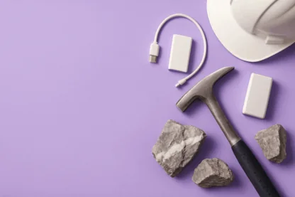 Previous Article Image