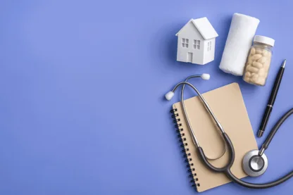 Previous Article Image