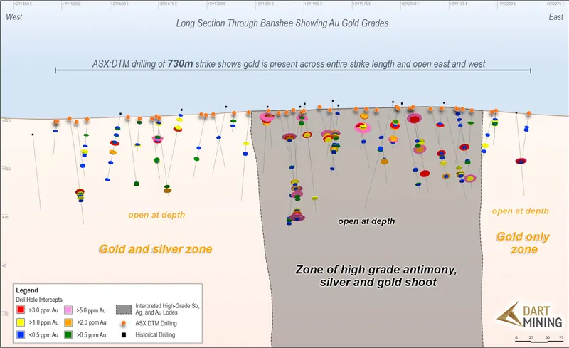 Long section through the drilling showing gold grades intercepted to date and interpretation of high-grade antimony and silver zones