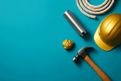 Previous Article Image