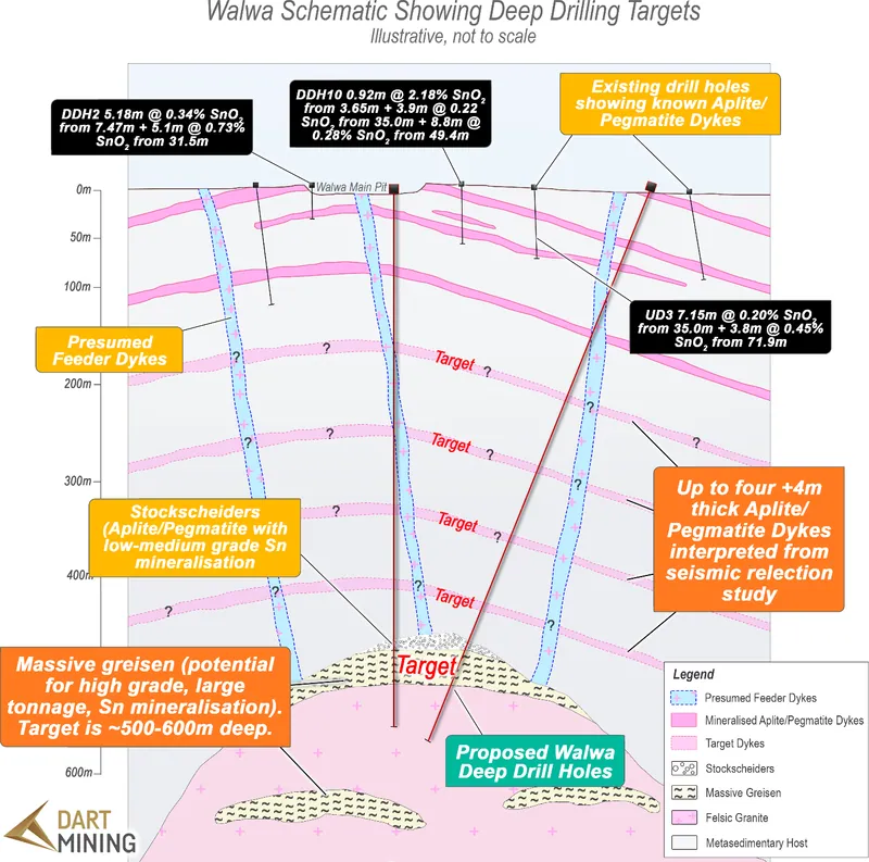 Walwa is an early drill target for multiple sub-horizontal tin lodes to 8m thickness and conceptually for a large high-grade tin greisen in the uppermost part…