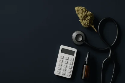 Previous Article Image