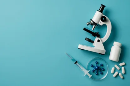 Previous Article Image