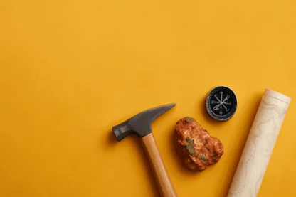 Previous Article Image