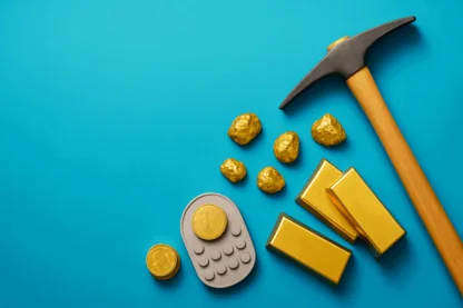 Previous Article Image