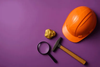 Previous Article Image