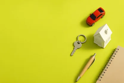 Previous Article Image