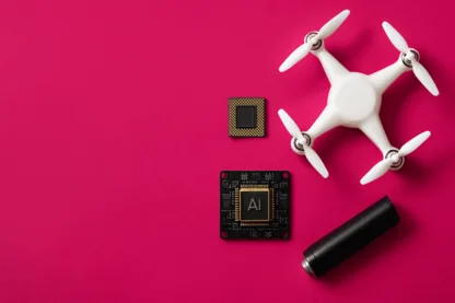 Previous Article Image