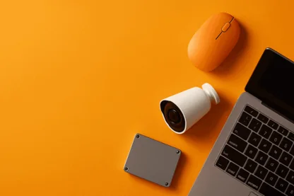 Previous Article Image