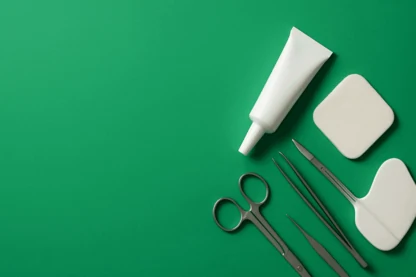 Previous Article Image