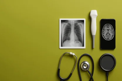 Previous Article Image