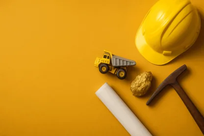 Previous Article Image