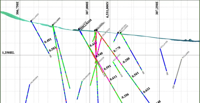 Cross-sec on showing DDLLA028 extension targe ng a poten al feeder zone