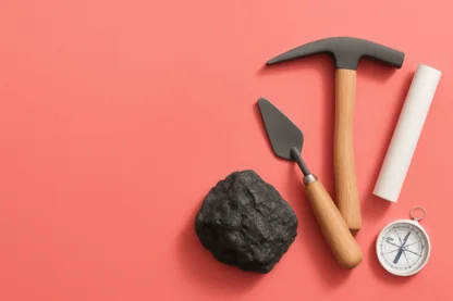 Previous Article Image