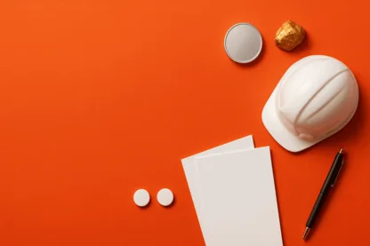 Previous Article Image