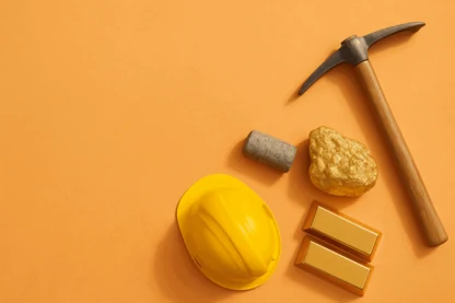 Previous Article Image