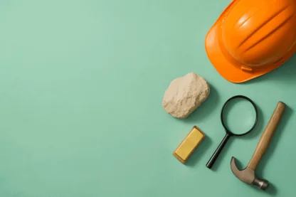 Previous Article Image