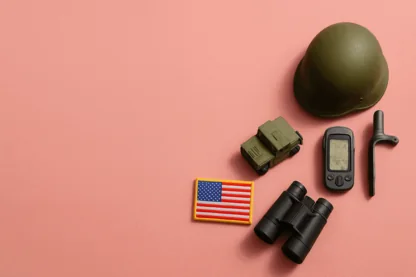 Previous Article Image