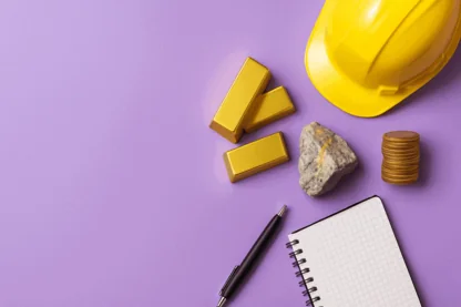 Previous Article Image