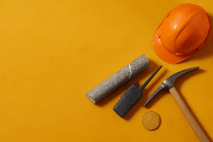 Previous Article Image