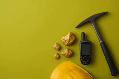 Previous Article Image