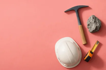 Previous Article Image