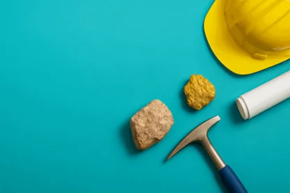 Previous Article Image