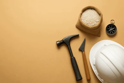 Previous Article Image