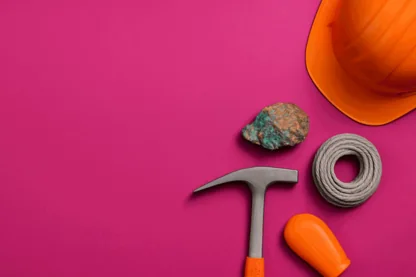 Previous Article Image