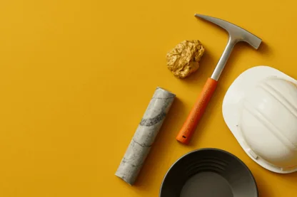 Previous Article Image