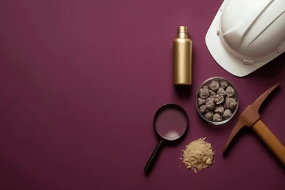 Previous Article Image