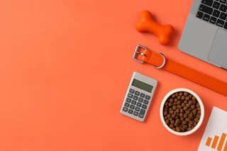 Mad Paws Accelerates Growth Amid Pet Chemist Sale and Rover Acquisition Bid