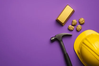 Previous Article Image