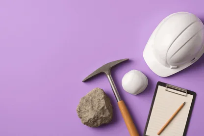 Previous Article Image