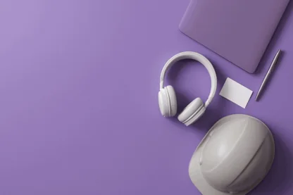 Previous Article Image