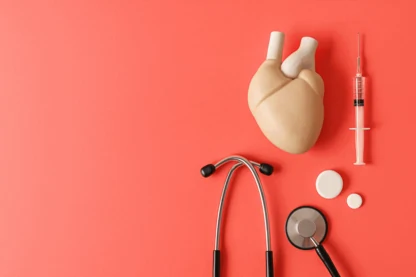 Previous Article Image