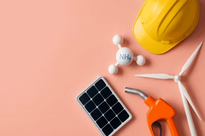 Previous Article Image