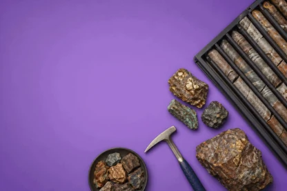 Previous Article Image