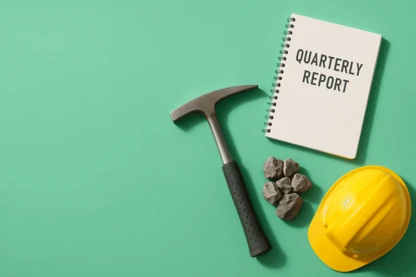 Previous Article Image