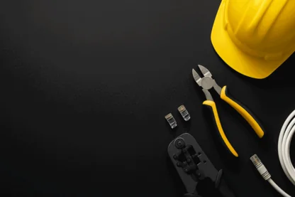 Previous Article Image