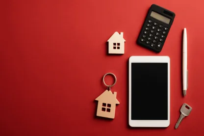 Previous Article Image