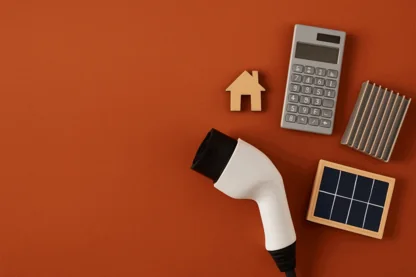 Previous Article Image