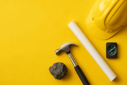 Previous Article Image