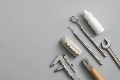 Previous Article Image